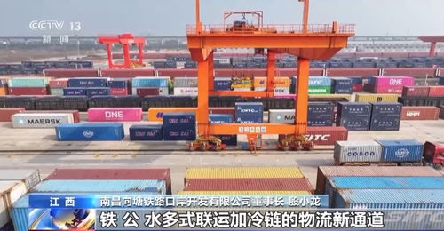 央视报道 冷链储运 热 了 班列 冷链 新业态拓展新市场