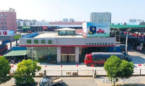 江西水果市场回暖,南昌深圳农产品批发市场日销10000余吨