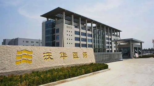 沃华医药2024年上半年继续下跌,具体表现出了哪些问题