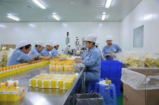 农村小型加工厂项目有哪些