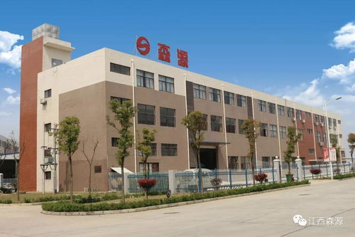 江西森源中标南昌工控塘南第六产业园专用电项目